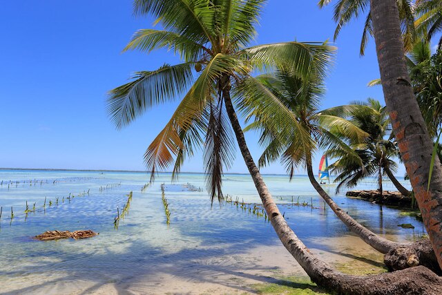 คิริบาส