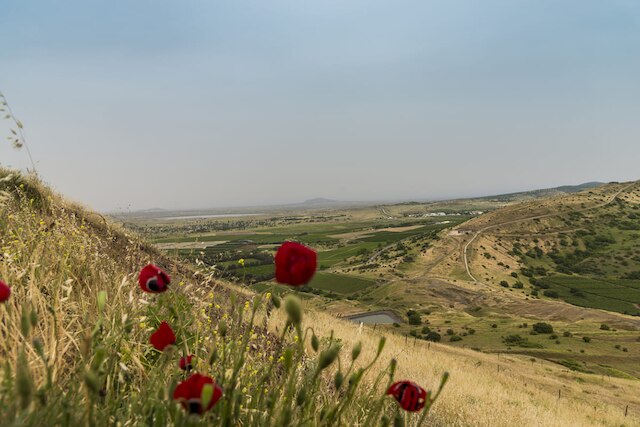 สาธารณรัฐอาหรับซีเรีย